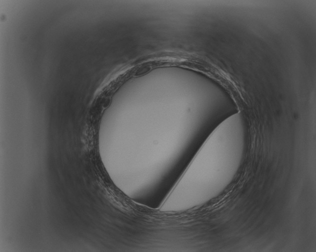 X0000087521448200704270807