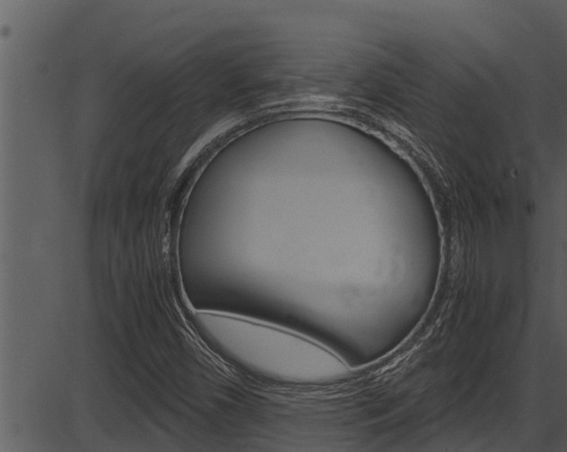 X0000087521450200704270807