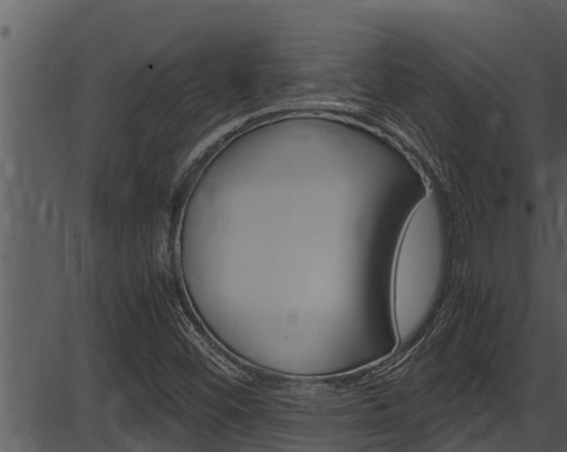 X0000087521452200704270807
