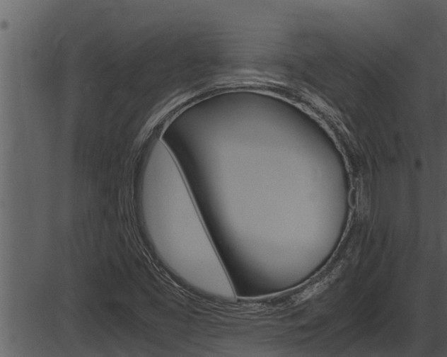 X0000087521453200704270807