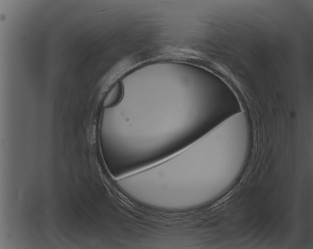 X0000087521459200704270807