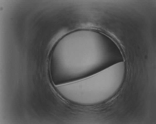 X0000087521463200704270807