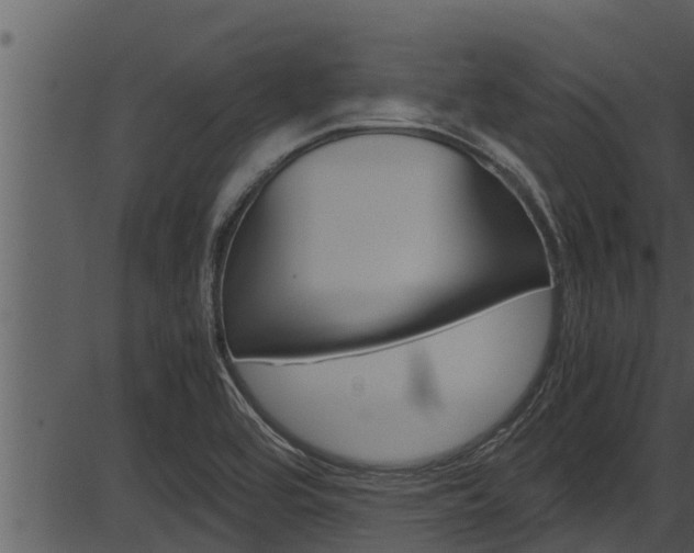 X0000087521464200704270807