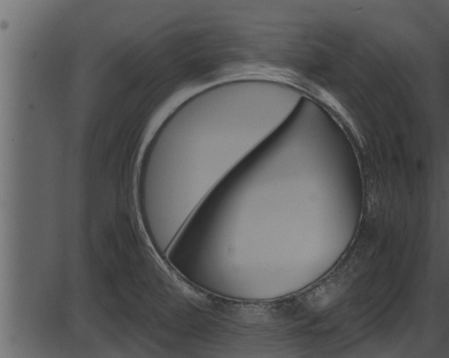 X0000087521472200704270806