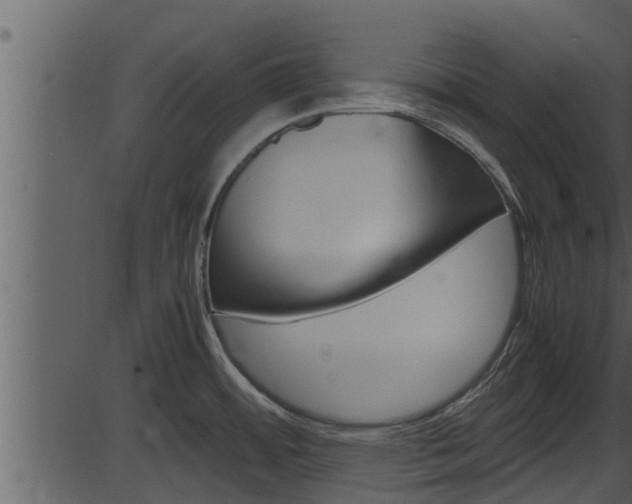 X0000087521484200704270806