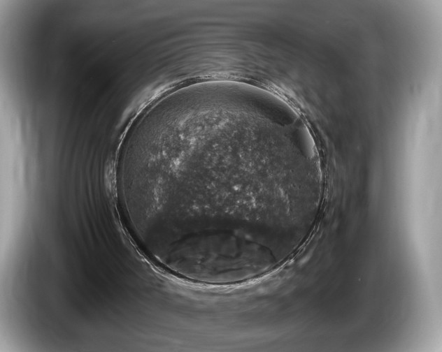 X0000087520002200704271148