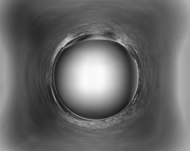 X0000087520003200704271148