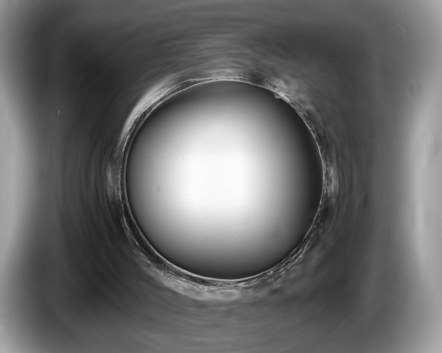 X0000087520004200704271148