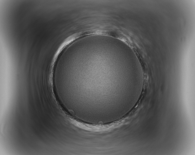 X0000087520006200704271148