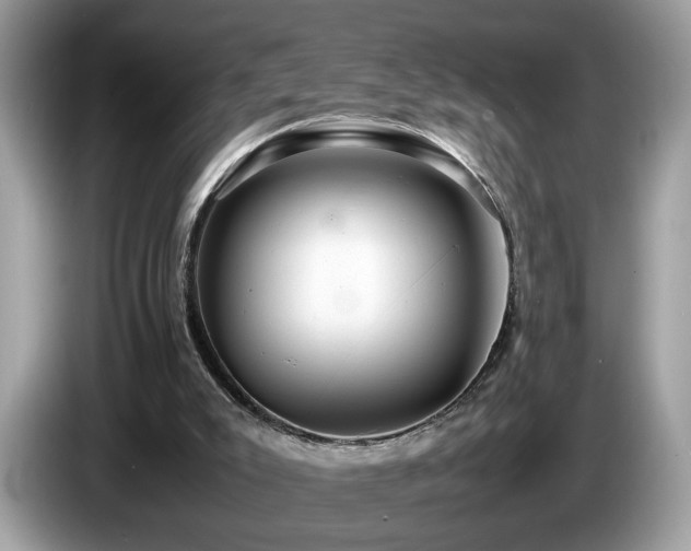 X0000087520007200704271148