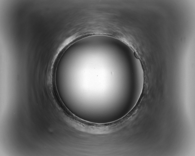 X0000087520008200704271148