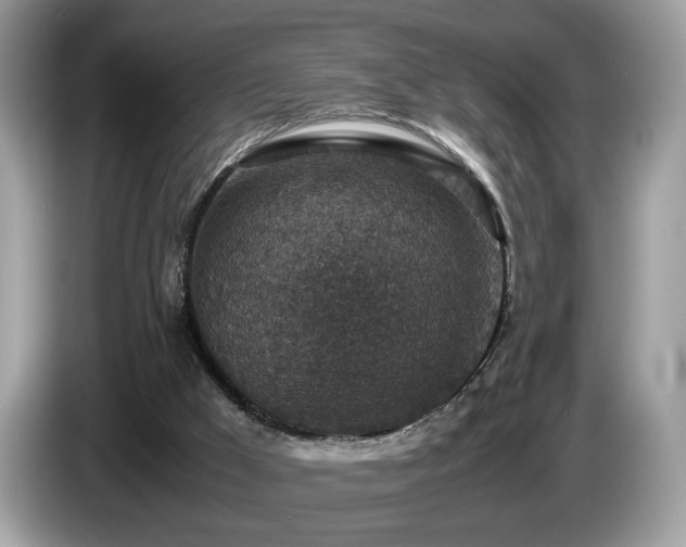 X0000087520009200704271148