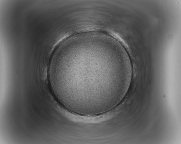 X0000087520010200704271148