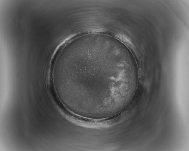 X0000087520012200704271148