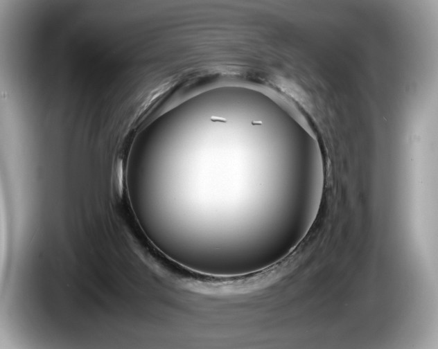 X0000087520013200704271148