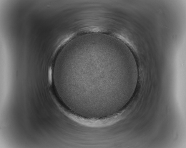 X0000087520014200704271148