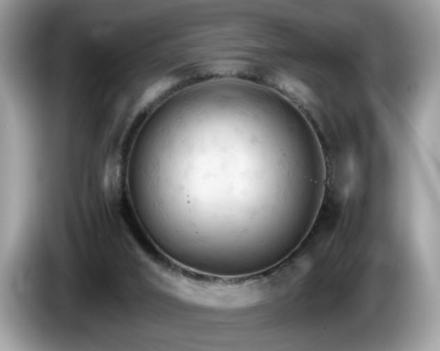 X0000087520016200704271148