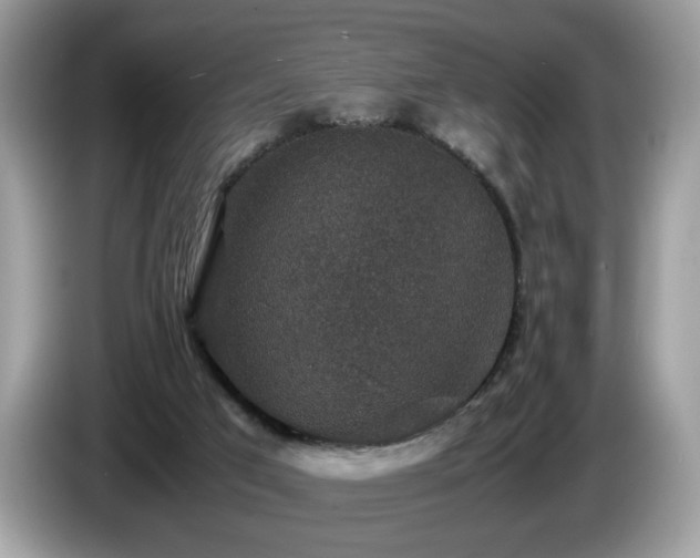 X0000087520017200704271148