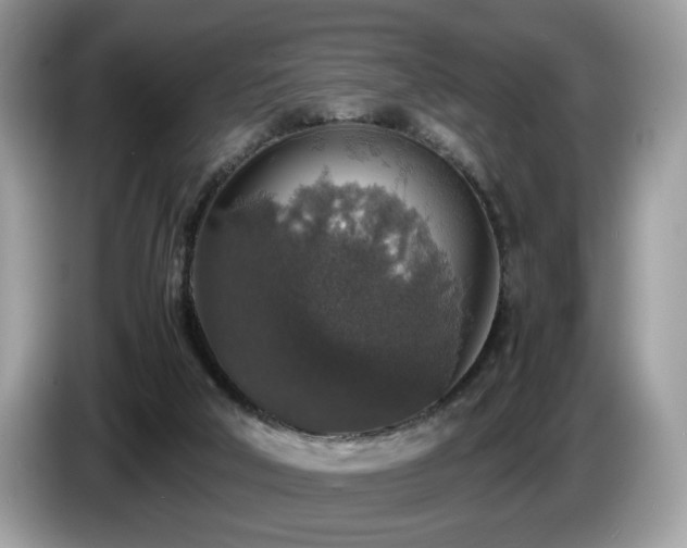 X0000087520018200704271148
