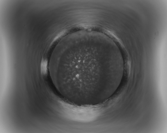 X0000087520024200704271148