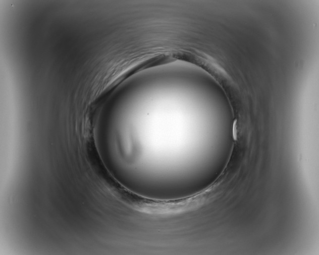 X0000087520025200704271148