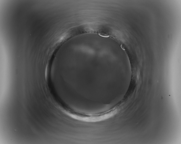 X0000087520027200704271148