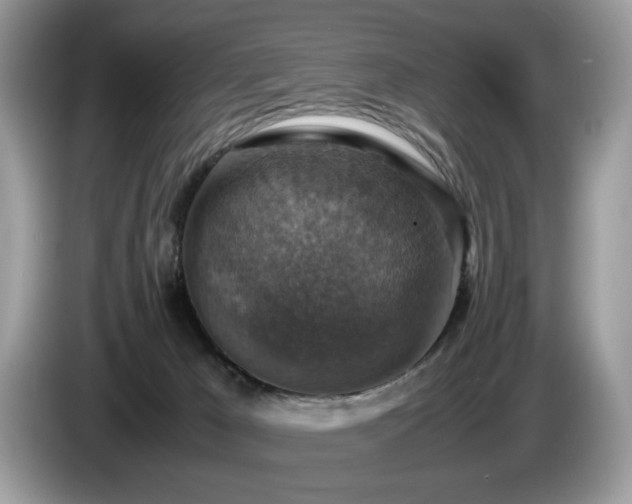 X0000087520029200704271148