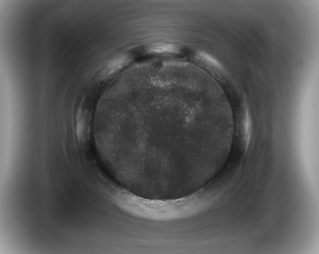 X0000087520030200704271148
