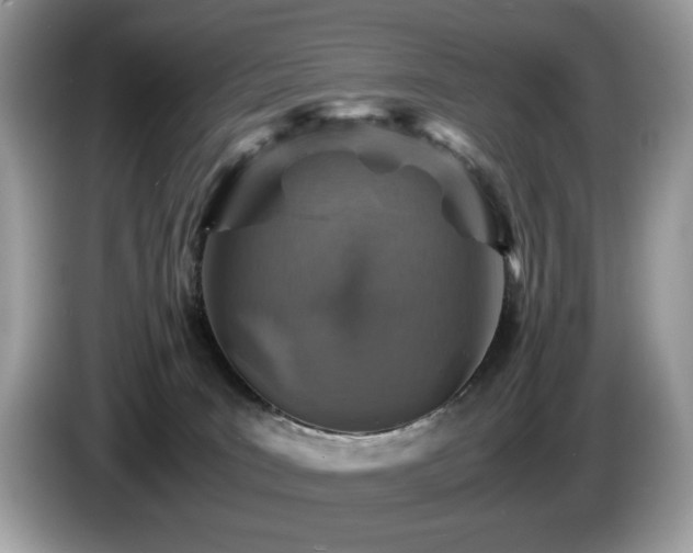 X0000087520035200704271148