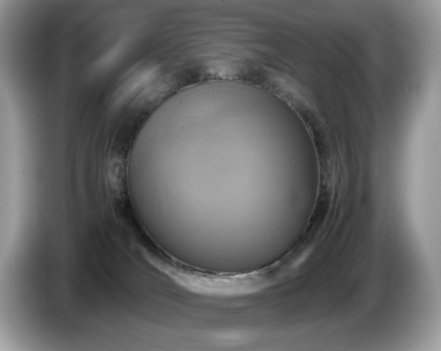 X0000087520036200704271148