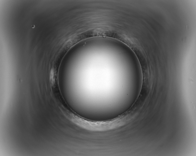 X0000087520038200704271148