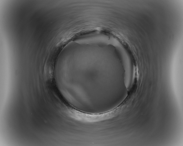 X0000087520039200704271148