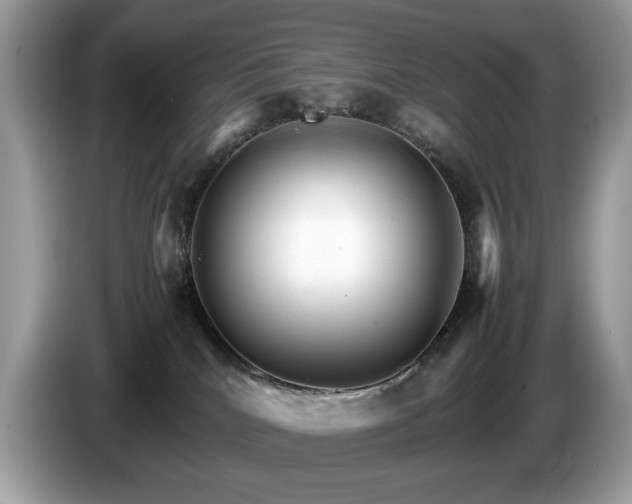 X0000087520040200704271148
