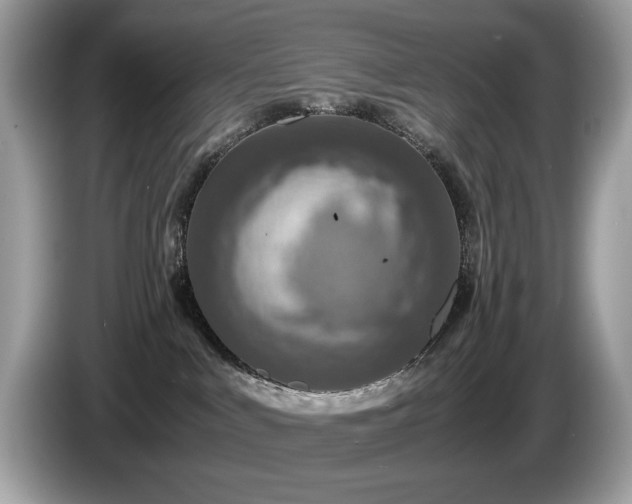 X0000087520043200704271148