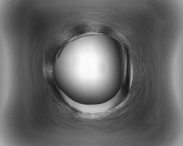 X0000087520045200704271148
