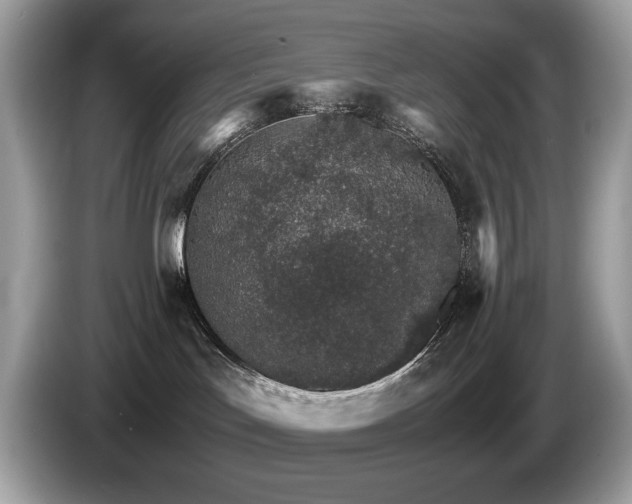 X0000087520047200704271148