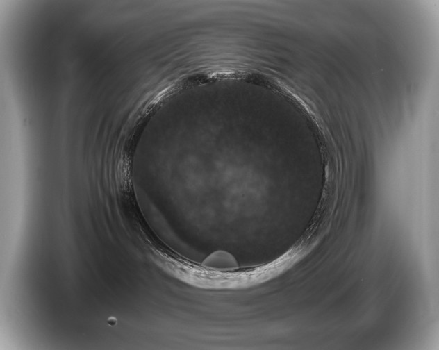 X0000087520048200704271148