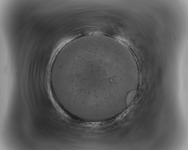 X0000087520049200704271147