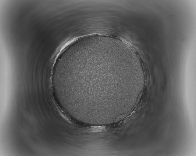 X0000087520050200704271147