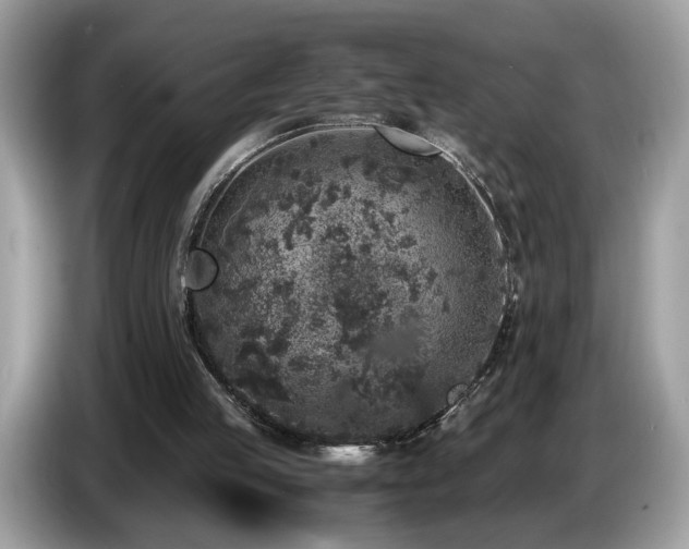 X0000087520053200704271147