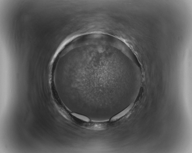 X0000087520056200704271147