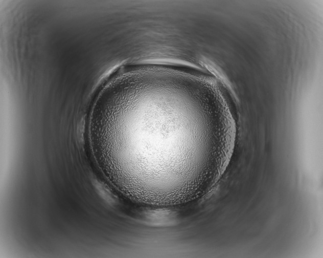 X0000087520058200704271147