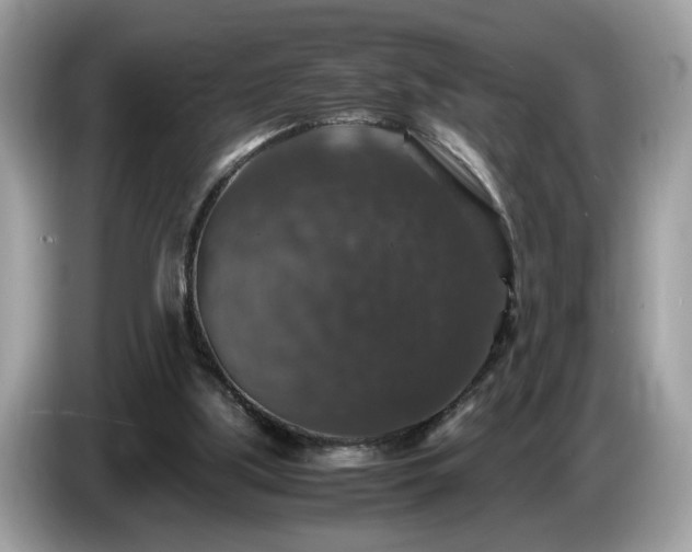 X0000087520059200704271147