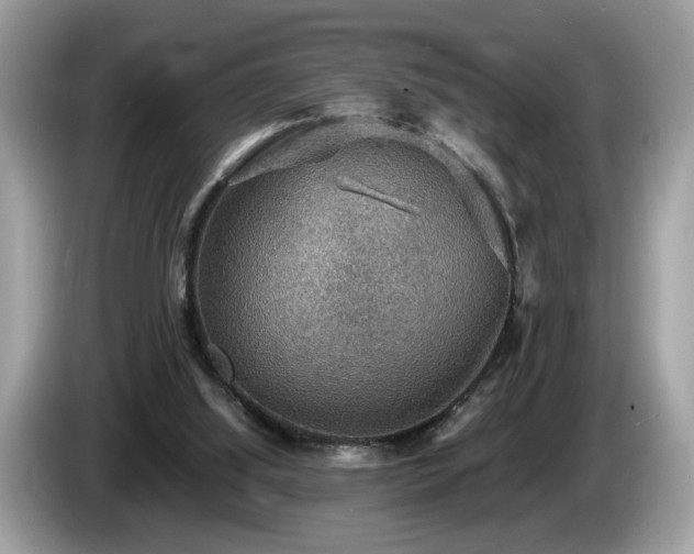X0000087520060200704271147