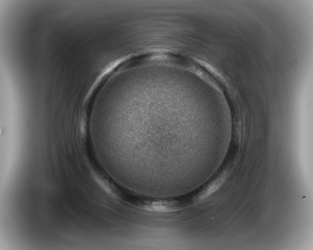 X0000087520064200704271148
