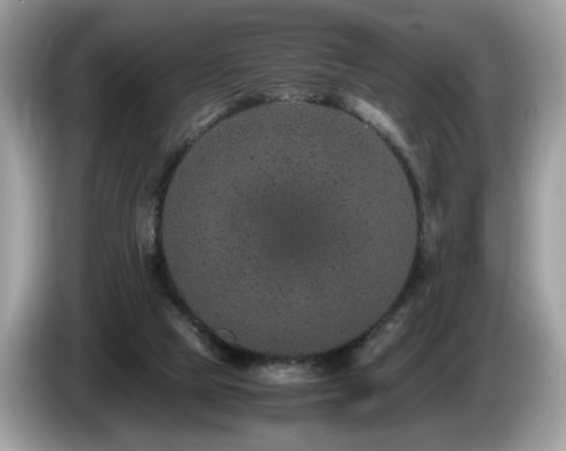 X0000087520065200704271148