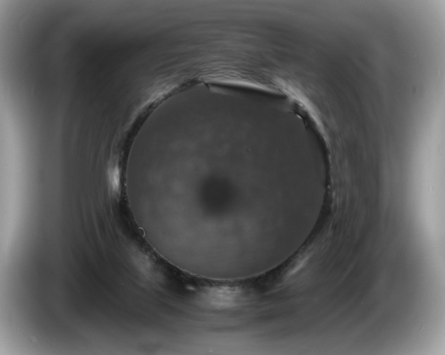 X0000087520067200704271148