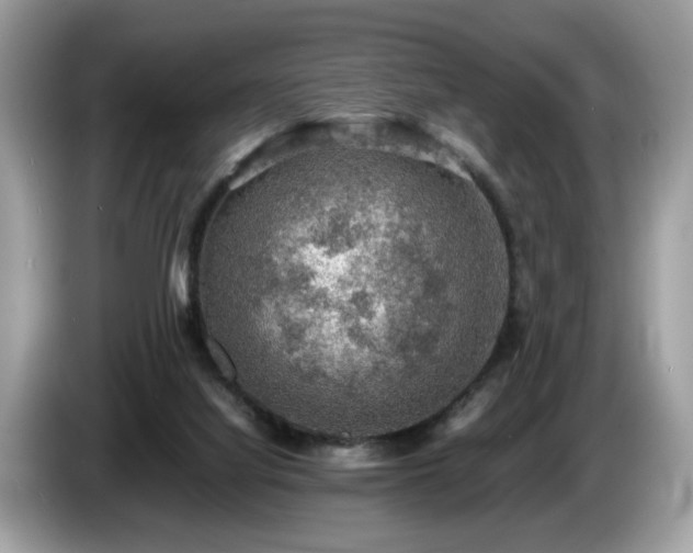 X0000087520068200704271148