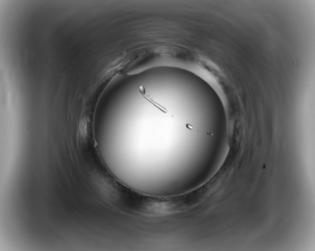 X0000087520071200704271148