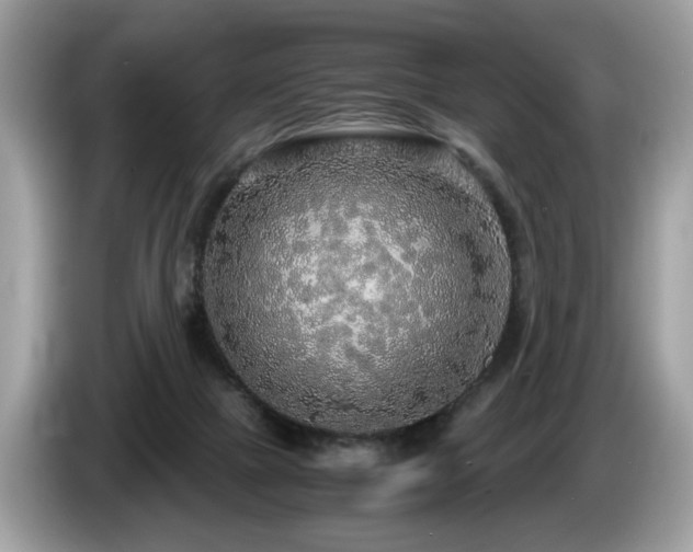 X0000087520073200704271148